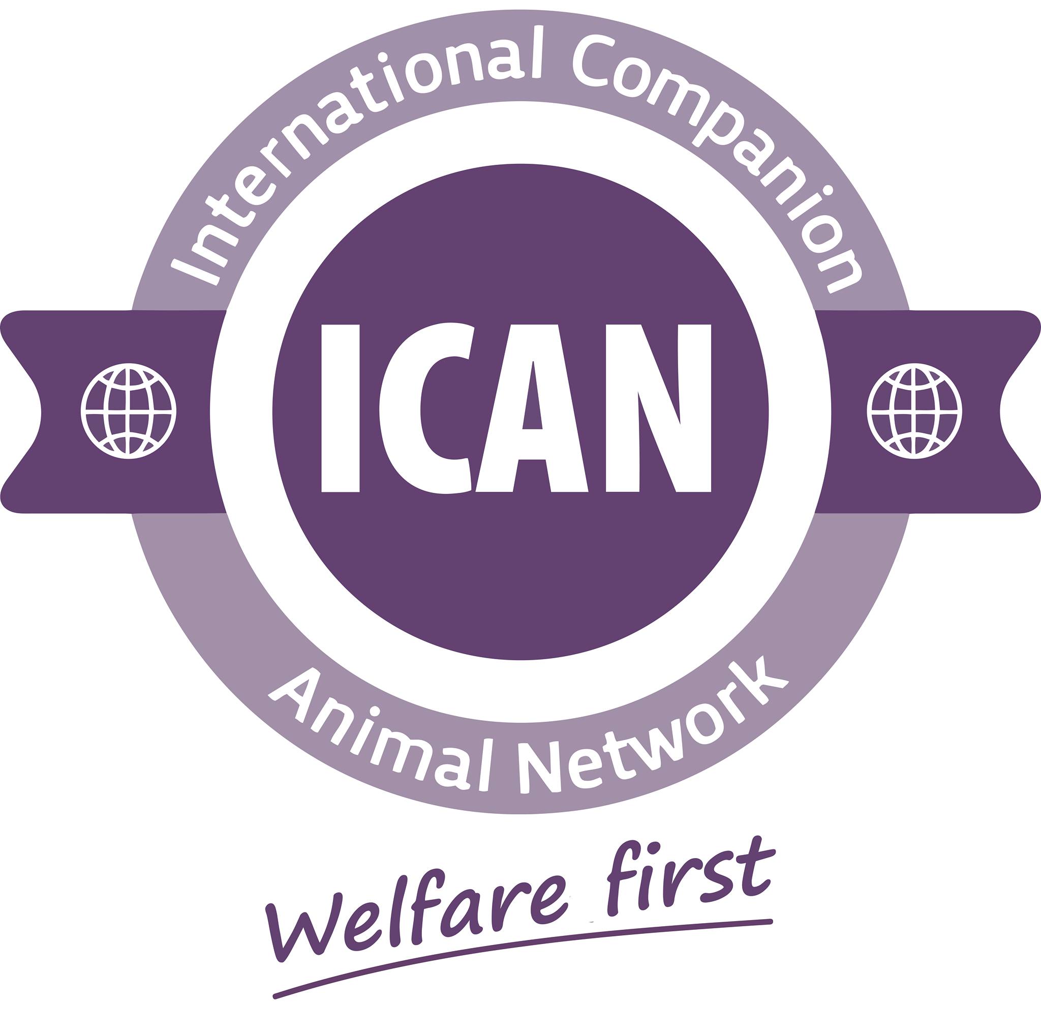 ICAN logo